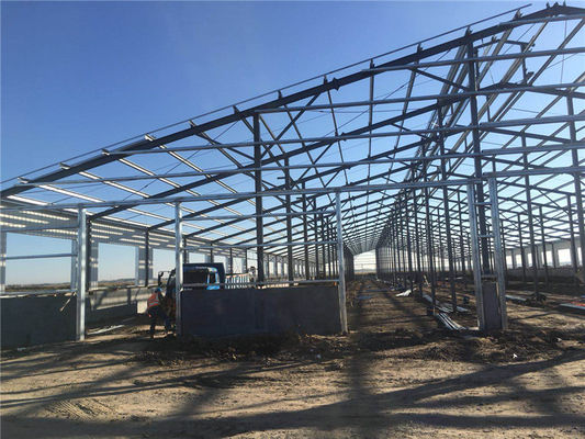 Q355B ساختمان ساختمانی فولادی از پیش ساخته شده برای کارخانه تولید شیر