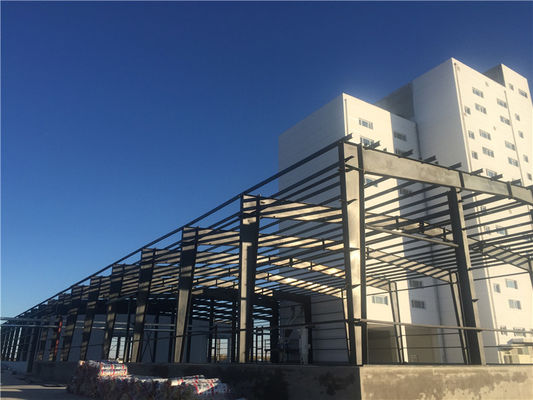 کارگاه ساختمانی فولادی برای کارخانه فرآوری پودر شیر