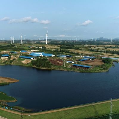 گودال گاو از فولاد گالوانیزه برای گاو های شیر 20+ سال طول عمر