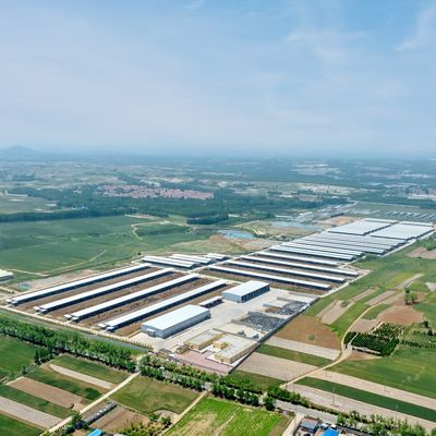 طراحی عرضه ساختمان مدرن فولاد مزرعه لبنیات گودال فلزی گودال گاو با سیستم تهویه