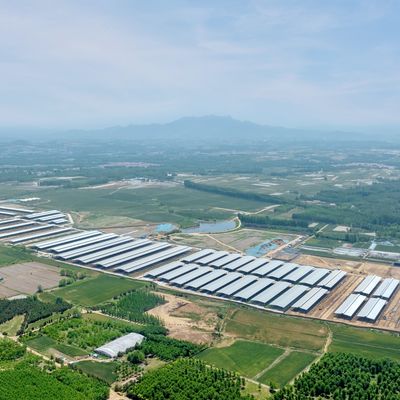 ساختار فولادی پیش ساخته شده ساختاری فولادی با درمان سطحی پایدار و عمر طولانی