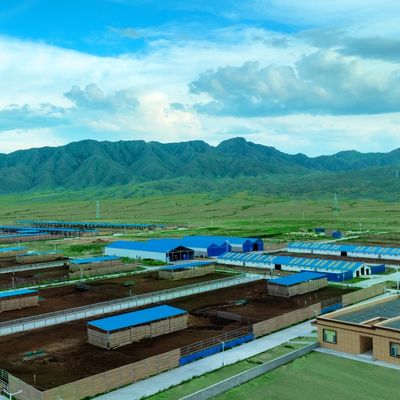 گودال گاو از فولاد گالوانیزه برای گاو های شیر 20+ سال طول عمر