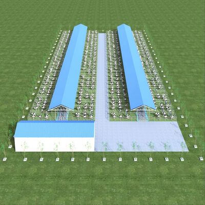 طراحی عرضه ساختمان مدرن فولاد مزرعه لبنیات گودال فلزی گودال گاو با سیستم تهویه