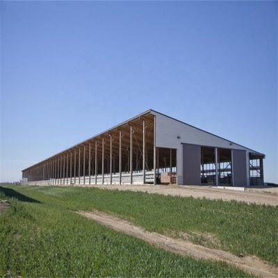 	
Prefabricated Buildings Poultry House Steel Structure Poultry Farm House Steel Building Frame for Cow Shed